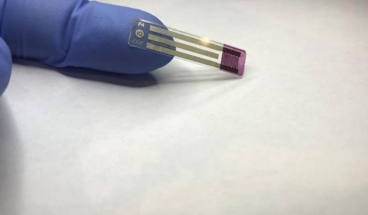 Australian scientists develop pain-free blood sugar test for diabetics
